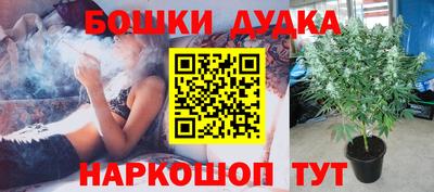 стафф Абакан