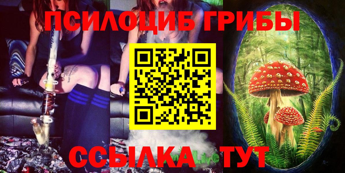 Псилоцибиновые грибы ЛСД  Псилоцибиновые грибы Psilocybe  Котовск  Вход с VPN 