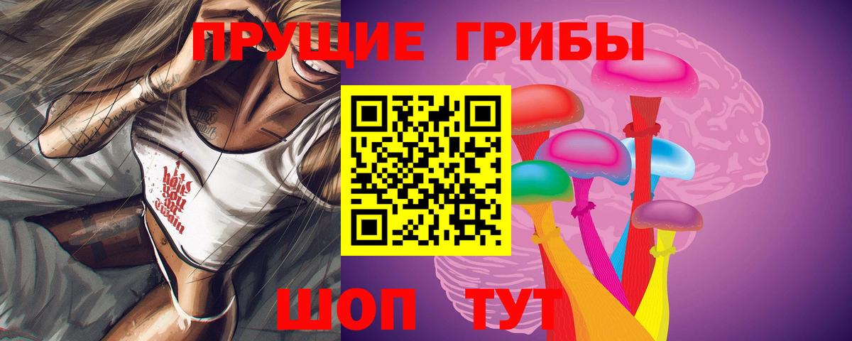 Псилоцибиновые грибы прущие грибы Котовск