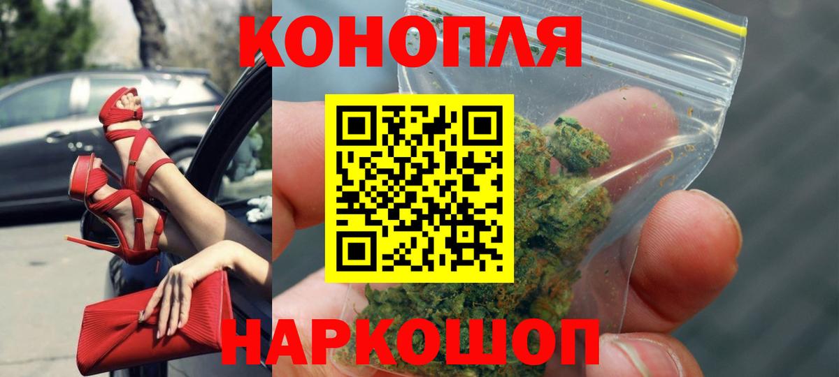 Конопля гибрид  Котовск  Канабис ГИДРОПОН  Канабис планчик 